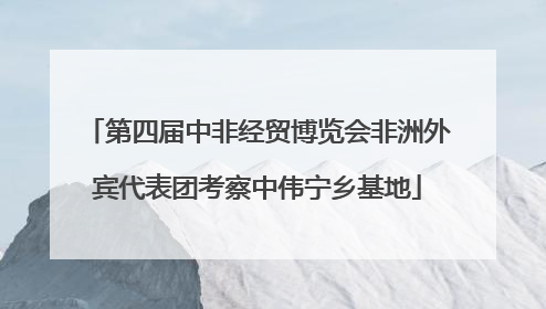 第四届中非经贸博览会非洲外宾代表团考察中伟宁乡基地