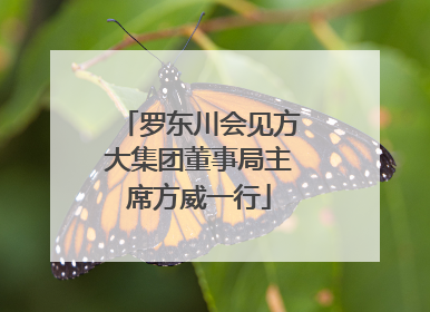 罗东川会见方大集团董事局主席方威一行