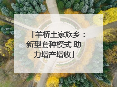 羊桥土家族乡：新型套种模式 助力增产增收