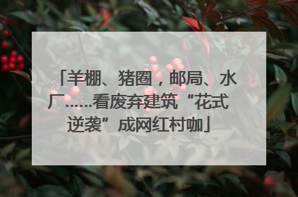 羊棚、猪圈，邮局、水厂……看废弃建筑“花式逆袭”成网红村咖