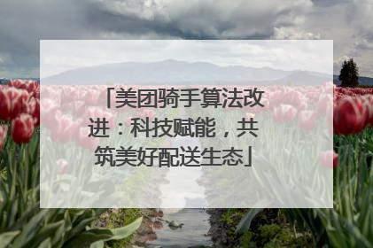 美团骑手算法改进：科技赋能，共筑美好配送生态