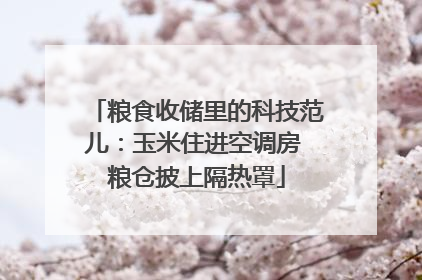 粮食收储里的科技范儿：玉米住进空调房 粮仓披上隔热罩
