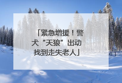 紧急增援！警犬“天狼”出动找到走失老人