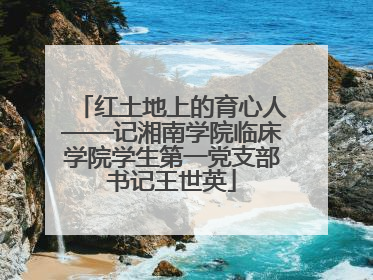 红土地上的育心人——记湘南学院临床学院学生第一党支部书记王世英