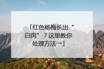 红色杨梅长出“白肉”？这里教你处理方法→