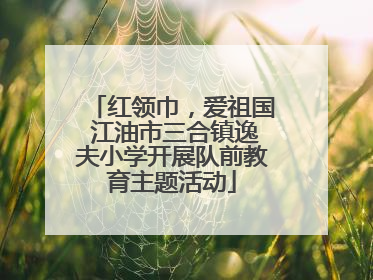 红领巾，爱祖国 江油市三合镇逸夫小学开展队前教育主题活动
