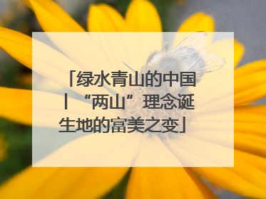 绿水青山的中国丨“两山”理念诞生地的富美之变