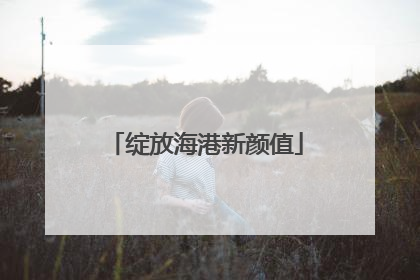 绽放海港新颜值