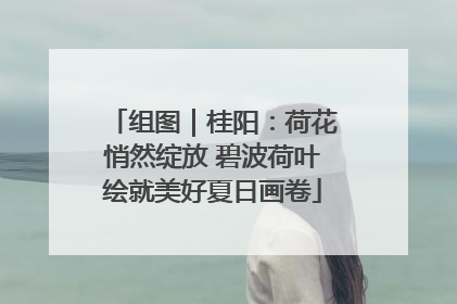组图｜桂阳：荷花悄然绽放 碧波荷叶绘就美好夏日画卷
