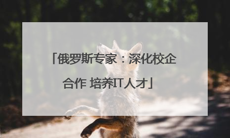 俄罗斯专家：深化校企合作 培养IT人才