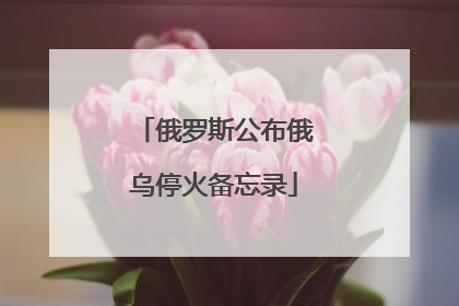 俄罗斯公布俄乌停火备忘录