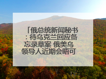俄总统新闻秘书：待乌克兰回应备忘录草案 俄美乌领导人近期会晤可能性小