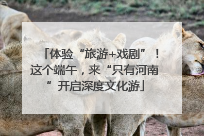 体验“旅游+戏剧”！这个端午，来“只有河南”开启深度文化游