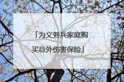 为义务兵家庭购买意外伤害保险