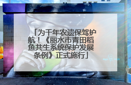 为千年农遗保驾护航！《丽水市青田稻鱼共生系统保护发展条例》正式施行
