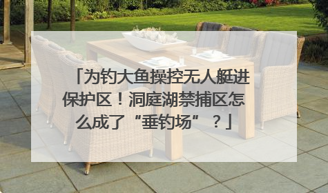 为钓大鱼操控无人艇进保护区！洞庭湖禁捕区怎么成了“垂钓场”？