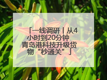 一线调研丨从4小时到20分钟 青岛港科技升级货物“秒通关”
