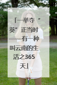 一举夺“葵”正当时——有一种叫云南的生活之365天