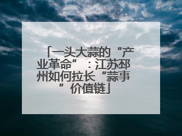 一头大蒜的“产业革命”：江苏邳州如何拉长“蒜事”价值链