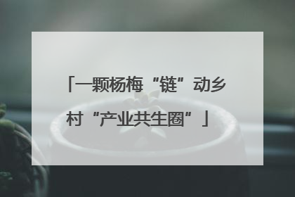 一颗杨梅“链”动乡村“产业共生圈”