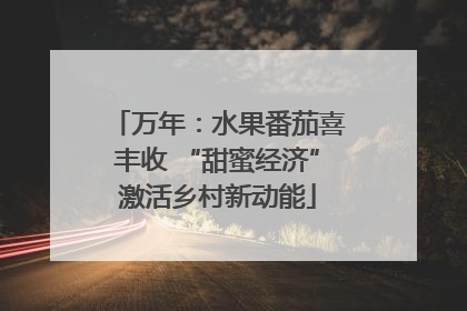 万年：水果番茄喜丰收 “甜蜜经济”激活乡村新动能