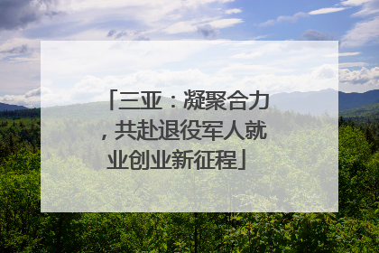 三亚：凝聚合力，共赴退役军人就业创业新征程