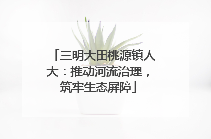 三明大田桃源镇人大：推动河流治理，筑牢生态屏障