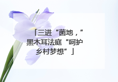 三进“菌地，”黑木耳法庭“呵护乡村梦想”