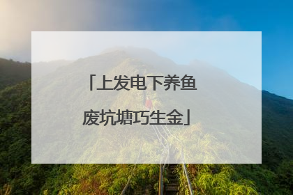 上发电下养鱼 废坑塘巧生金