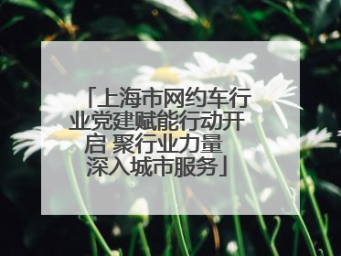 上海市网约车行业党建赋能行动开启 聚行业力量 深入城市服务