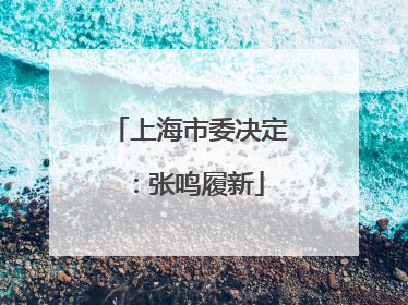上海市委决定：张鸣履新