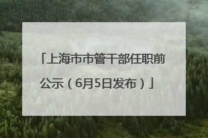 上海市市管干部任职前公示（6月5日发布）