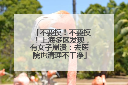 不要摸！不要摸！上海多区发现，有女子崩溃：去医院也清理不干净