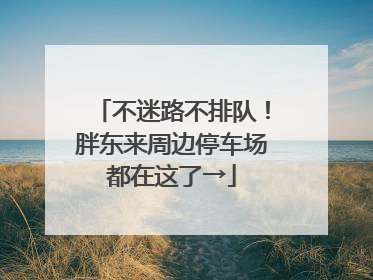 不迷路不排队！胖东来周边停车场都在这了→