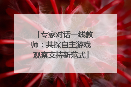 专家对话一线教师：共探自主游戏观察支持新范式