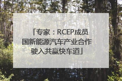 专家：RCEP成员国新能源汽车产业合作驶入共赢快车道