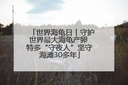 世界海龟日丨守护世界最大海龟产卵 特多“守夜人”坚守海滩30多年