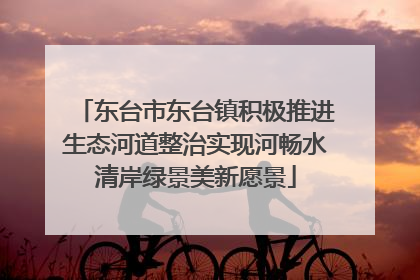 东台市东台镇积极推进生态河道整治实现河畅水清岸绿景美新愿景