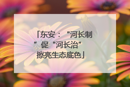 东安：“河长制”促“河长治” 擦亮生态底色