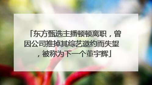 东方甄选主播顿顿离职，曾因公司推掉其综艺邀约而失望，被称为下一个董宇辉