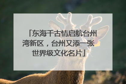 东海千古情启航台州湾新区，台州又添一张世界级文化名片