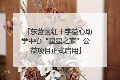 东营区红十字益心助学中心“星星之家”公益项目正式启用