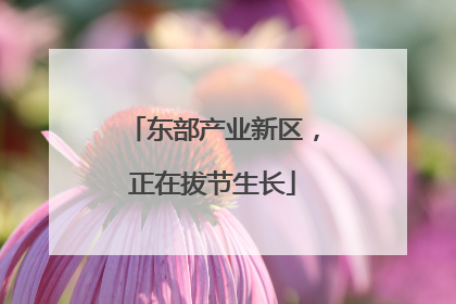 东部产业新区，正在拔节生长