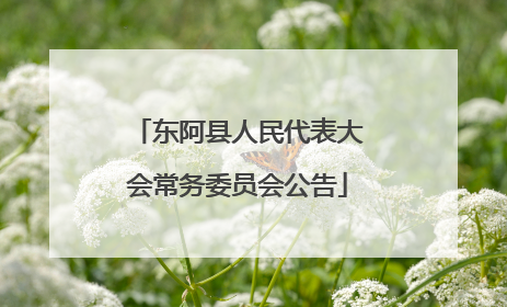 东阿县人民代表大会常务委员会公告
