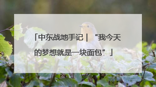 中东战地手记｜“我今天的梦想就是一块面包”
