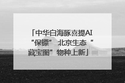 中华白海豚喜提AI“保镖” 北京生态“藏宝图”物种上新