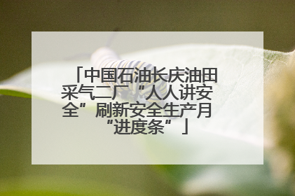 中国石油长庆油田采气二厂“人人讲安全”刷新安全生产月“进度条”