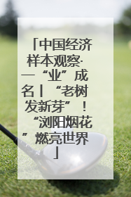 中国经济样本观察·一“业”成名丨“老树发新芽”！“浏阳烟花”燃亮世界