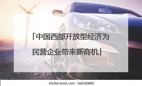 中国西部开放型经济为民营企业带来新商机