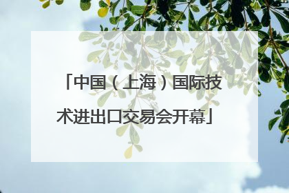 中国（上海）国际技术进出口交易会开幕